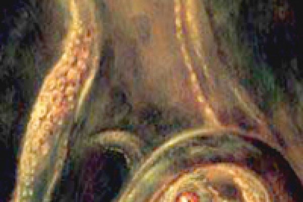 Ссылка кракен через тор