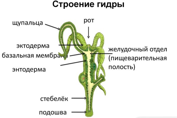 Кракен онион ссылка на тор