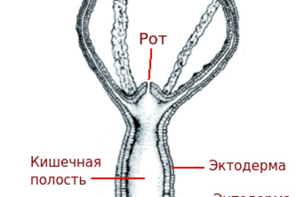 Кракен сайт юнион