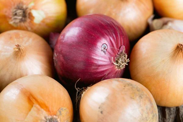 Регистрация на сайте кракен