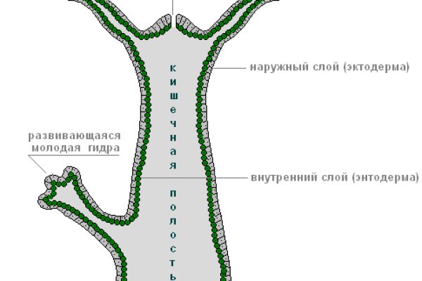 Kraken ссылка актуальная