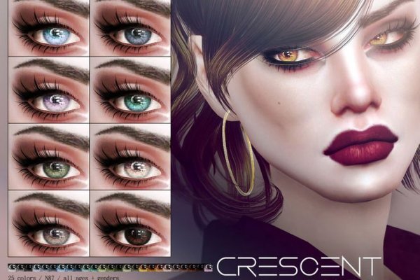 Kraken17 at