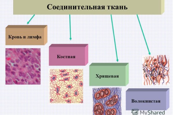 Клирнет ссылка на зеркало маркетплейс кракен