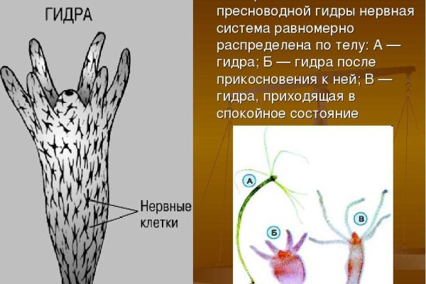 Почему кракен перестал работать